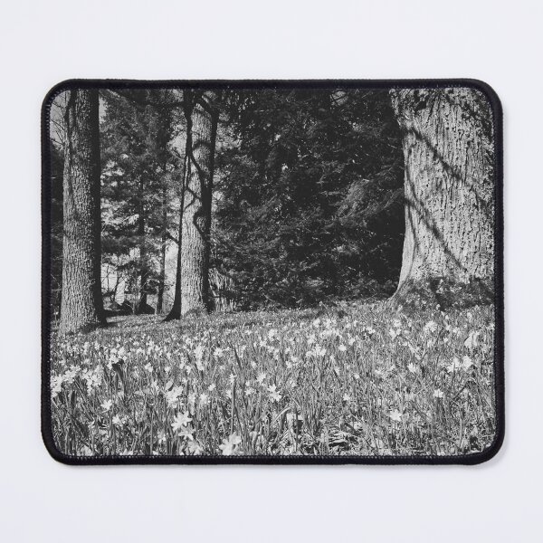 Item preview, Under the naked oaks bw designed and sold by Jouko Lehto Photography.