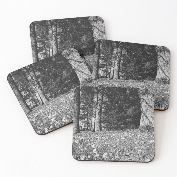 Item preview, Under the naked oaks bw designed and sold by Jouko Lehto Photography.