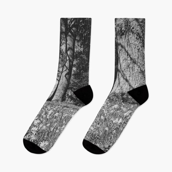 Item preview, Under the naked oaks bw designed and sold by Jouko Lehto Photography.