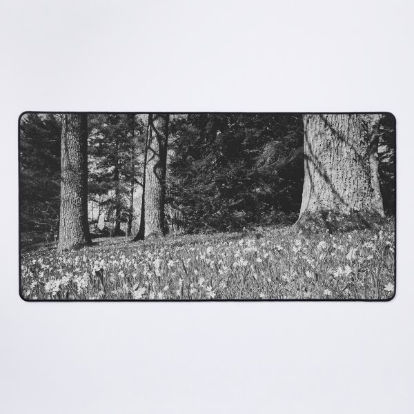 Item preview, Under the naked oaks bw designed and sold by Jouko Lehto Photography.
