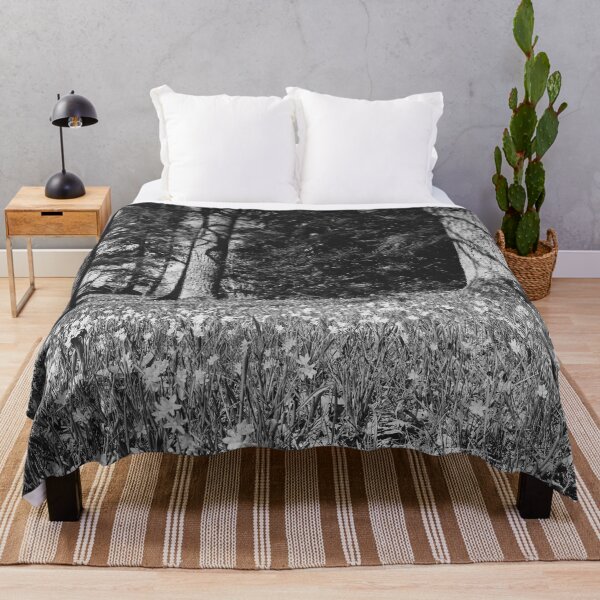 Item preview, Under the naked oaks bw designed and sold by Jouko Lehto Photography.