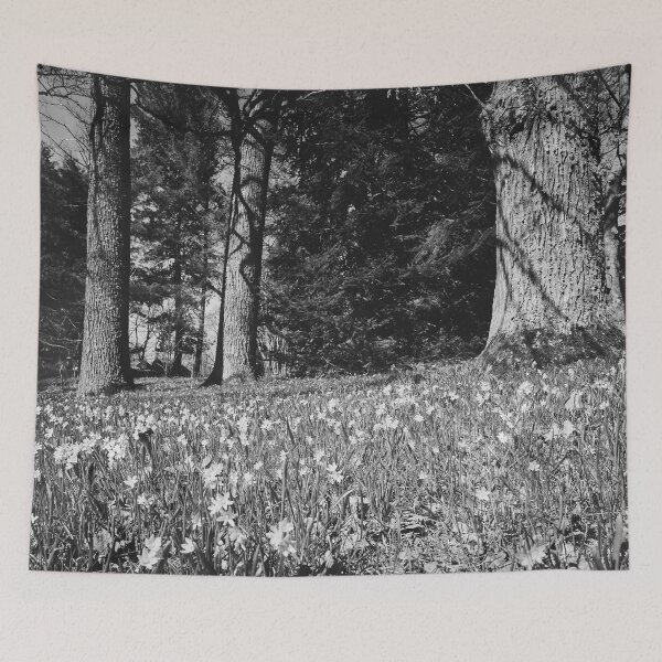 Item preview, Under the naked oaks bw designed and sold by Jouko Lehto Photography.