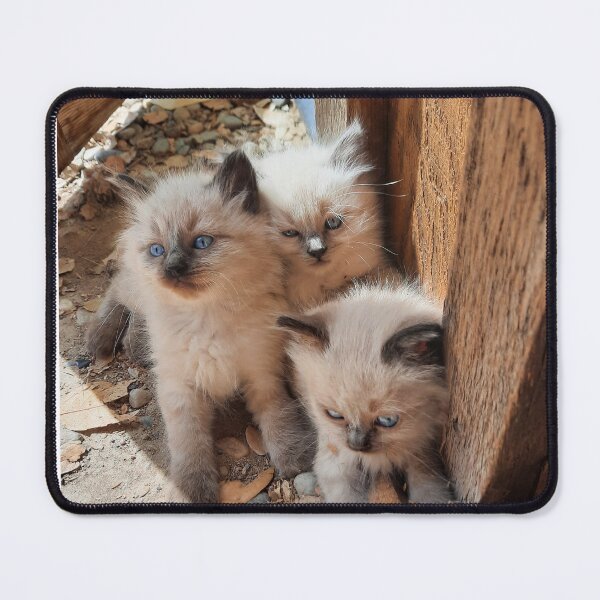 Item preview, 3 Little Kittens designed and sold by VioletVends.