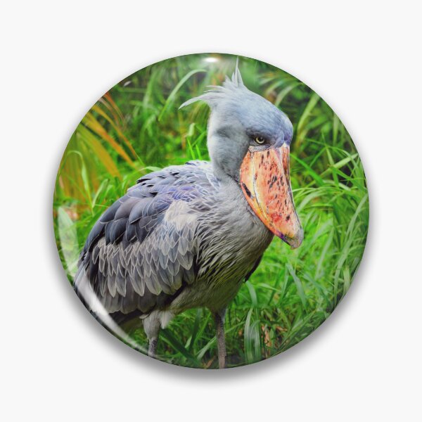 Item preview, Shoebill Balaeniceps Rex  designed and sold by Savannah Gibbs.