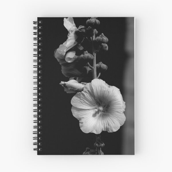 Item preview, Closeup of a Hollyhock in black and white designed and sold by FotoMahieu.