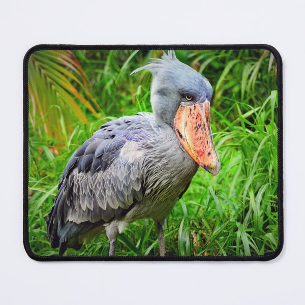 Item preview, Shoebill Balaeniceps Rex  designed and sold by Savannah Gibbs.