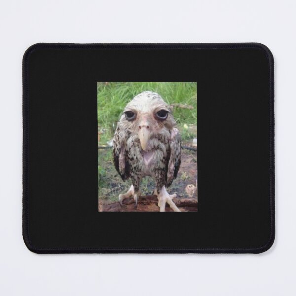 Item preview, wet owl Classic T-Shirt designed and sold by MargNolte.