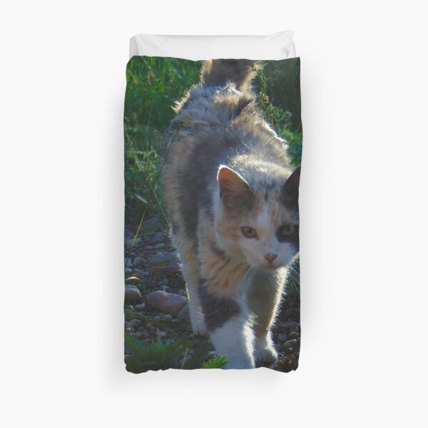 Warrior Cats Duvet Covers Redbubble
