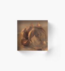 Garlic Acrylic Block