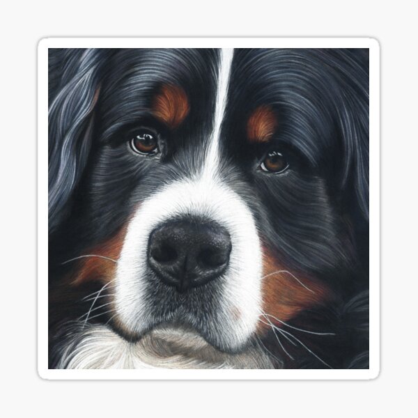 Bernese Mountain Dog - Jesse Sticker