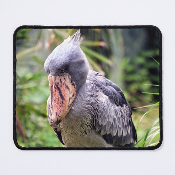 Item preview, SHOEBILL  designed and sold by Savannah Gibbs.