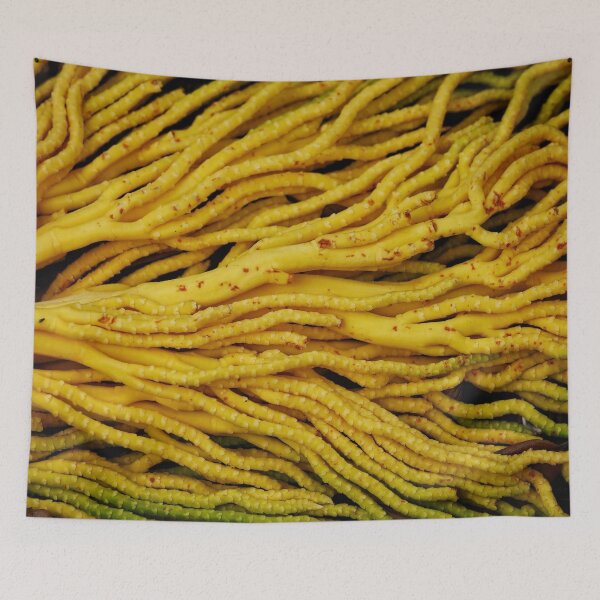 Item preview, Spaghetti Monster, Horizontal designed and sold by Dead-Moroz.