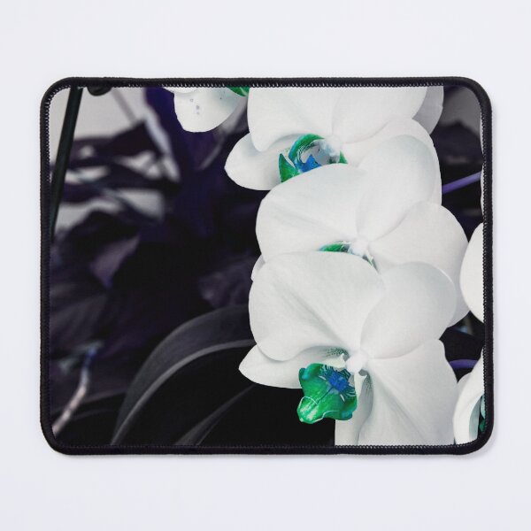 Item preview, white orchids designed and sold by LaPetiteBelette.