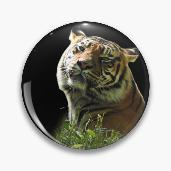 Item preview, Sumatran Tiger  designed and sold by andrew82984.