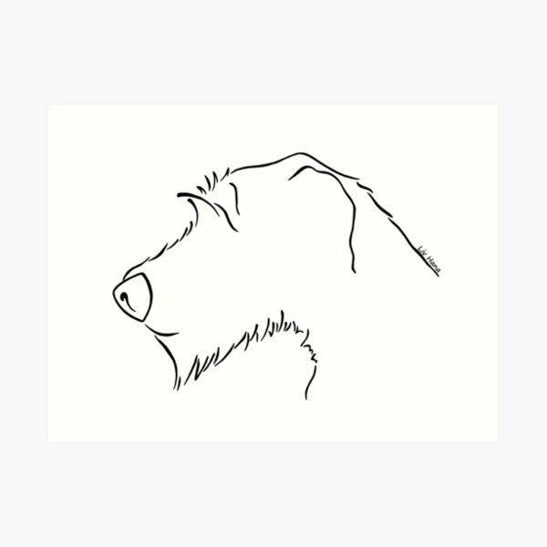 Irish Wolfhound Drawing Easy ubicaciondepersonas.cdmx.gob.mx