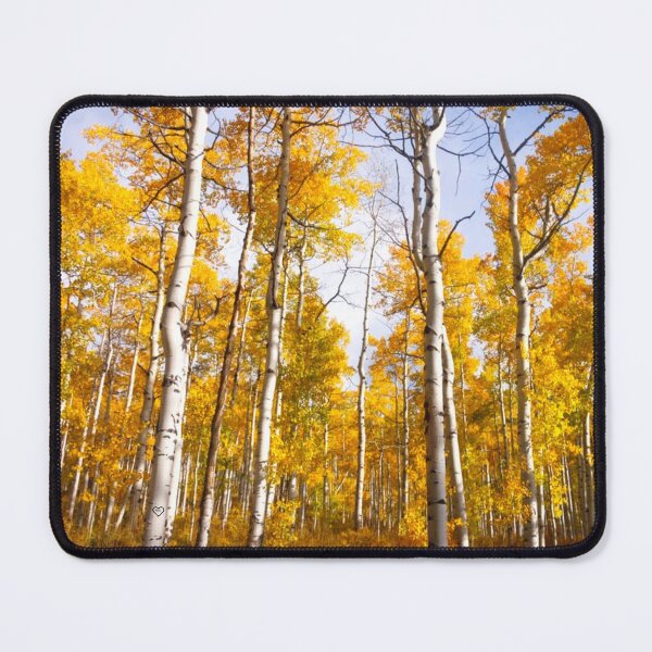 Artikelvorschau, Aspen Groove Yellow Fall Leaves entworfen und verkauft von mwagie.