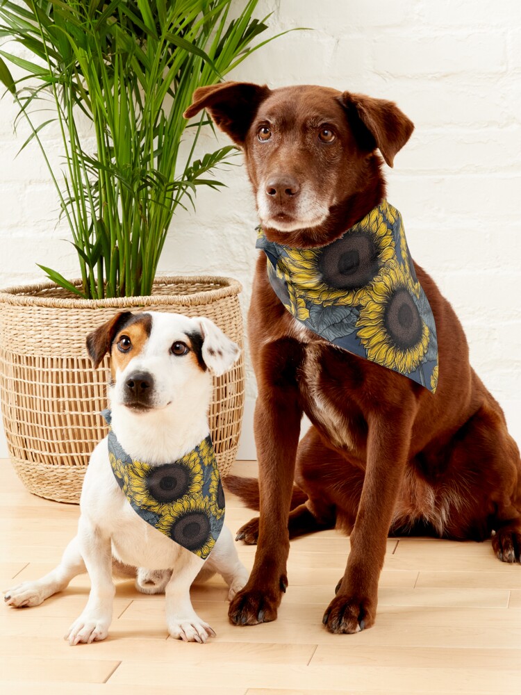 Alternate view of Sunflower field 2 Pet Bandana