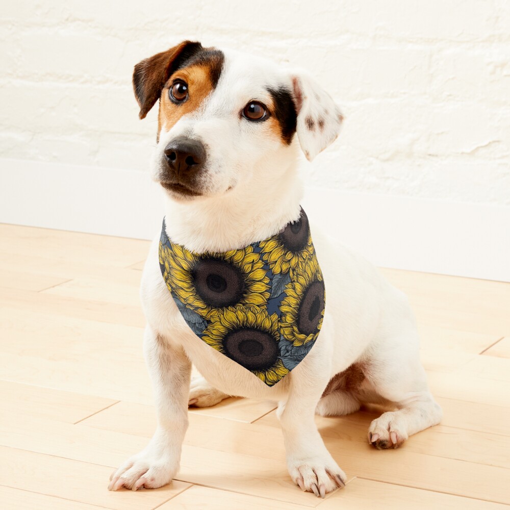 Sunflower field 2 Pet Bandana