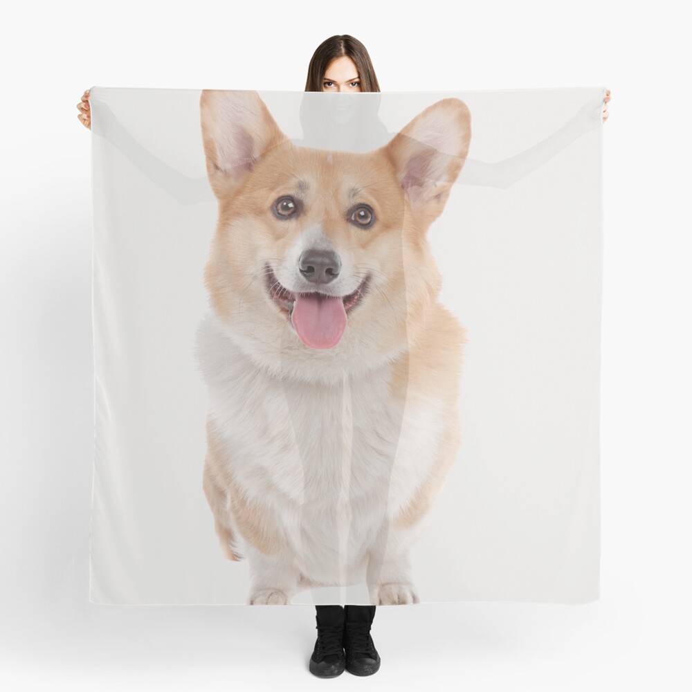 corgi scarves