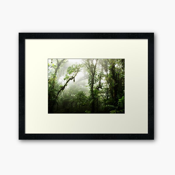 Item preview, Cloud Forest designed and sold by Nicklas81.