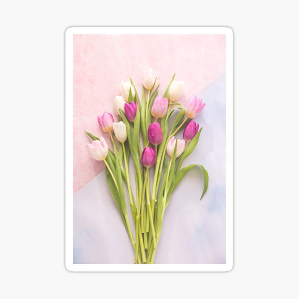 Item preview, Spring Tulips on pastels designed and sold by Zoe Power.