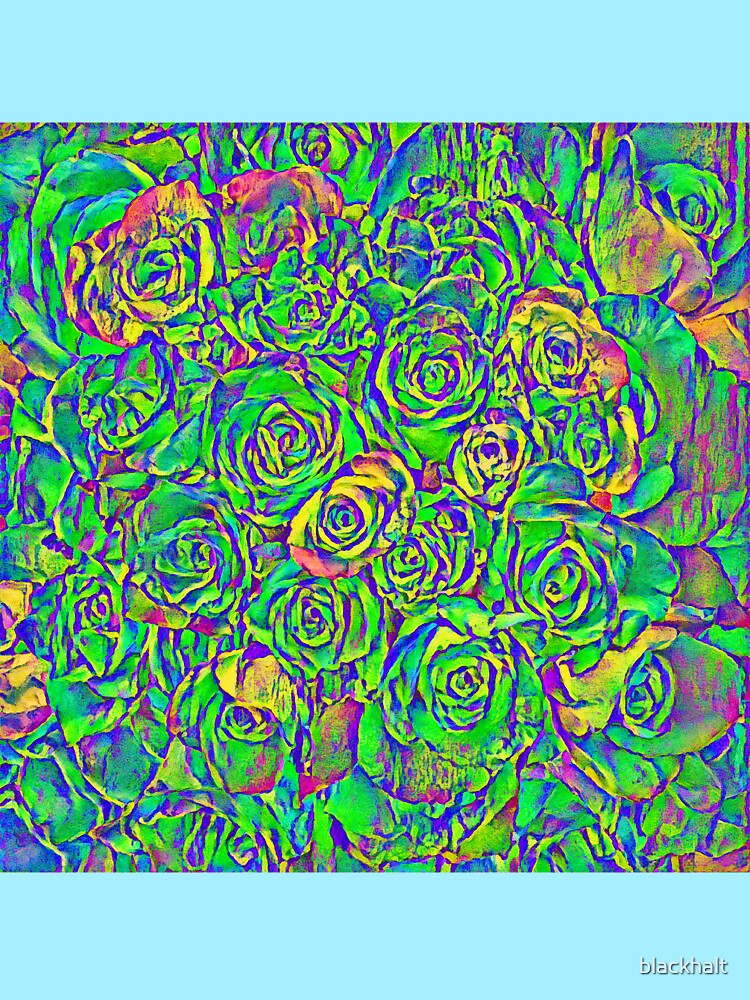 Roses by blackhalt