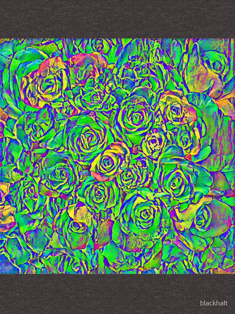 Roses by blackhalt