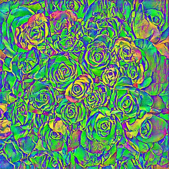 Roses