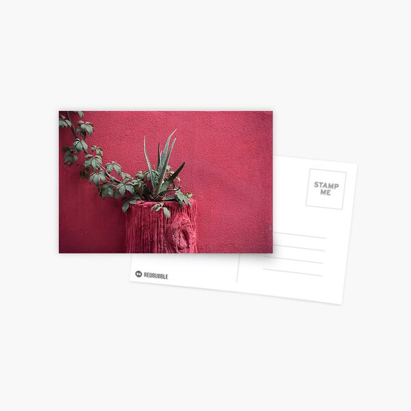 Pink and plant Postcard
