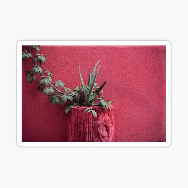 Rosa y planta Pegatina