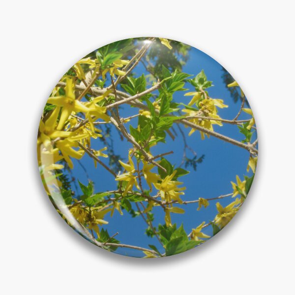 Item preview, Broom against a perfect blue sky designed and sold by Shulie1.
