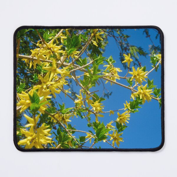 Item preview, Broom against a perfect blue sky designed and sold by Shulie1.