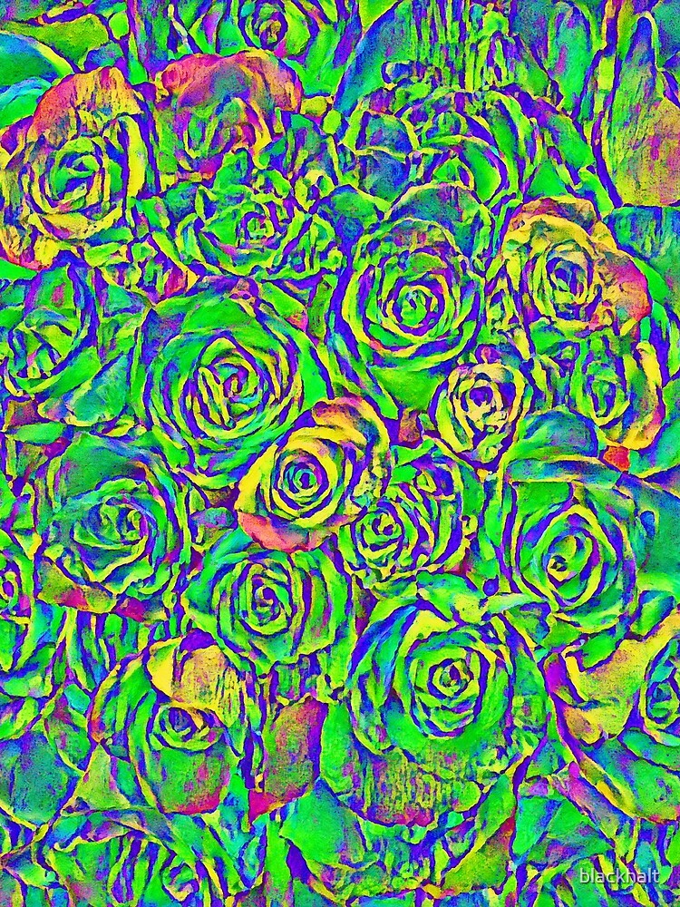 Roses by blackhalt