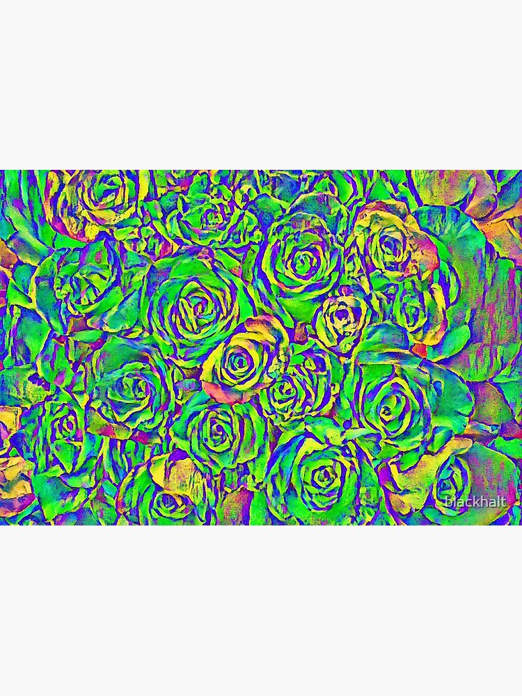 Roses by blackhalt