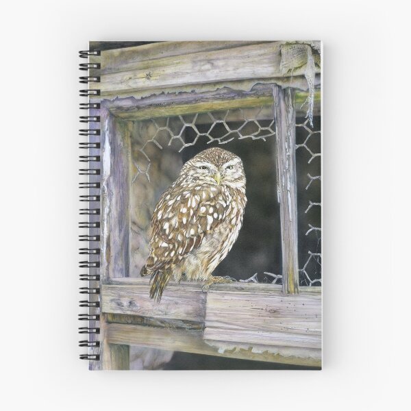 Item preview, Little Owl designed and sold by Sharon J. Read - 'Lundy Spellbound'.
