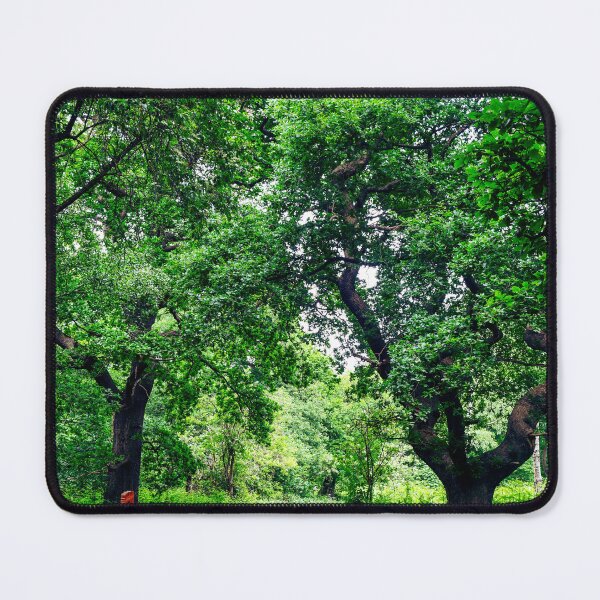 Item preview, Forest designed and sold by SzendeB.
