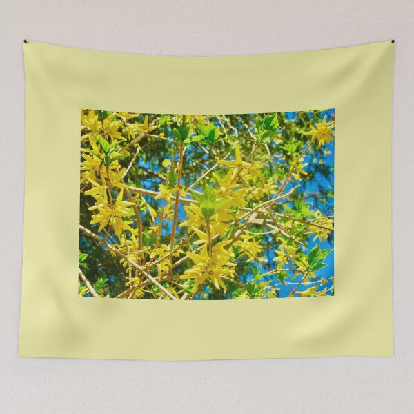 Item preview, Yellow Broom designed and sold by Shulie1.