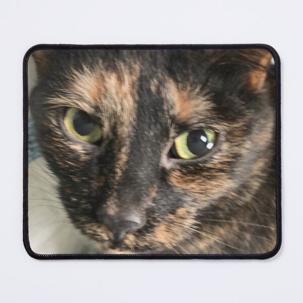 Item preview, Soulful Tortie  designed and sold by Amanda1775.