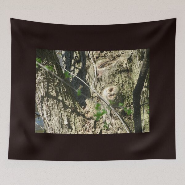 Item preview, Old tree with a a turtle face designed and sold by Shulie1.