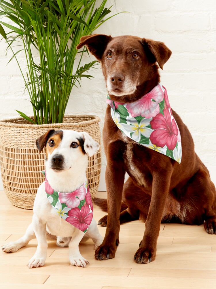 Tropical hotsell dog bandana