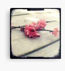 Apple blossom Metal Print
