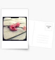 Apple blossom Postcards