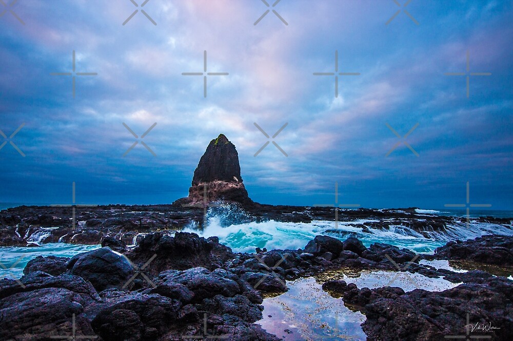 Pulpit Rock, Cape Schanck, Mornington Peninsula, Victoria, Australia by Vicki Walsh
