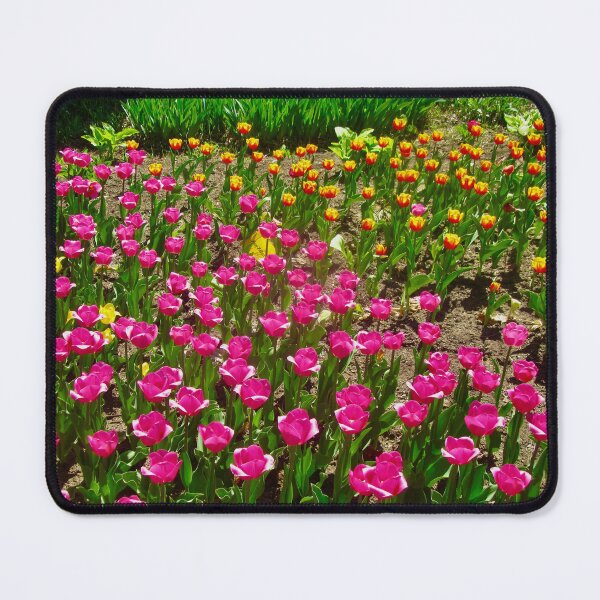 Item preview, More tulips in the garden designed and sold by Shulie1.