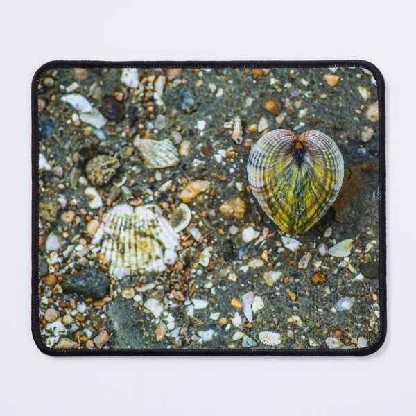 Item preview, Shells designed and sold by SzendeB.