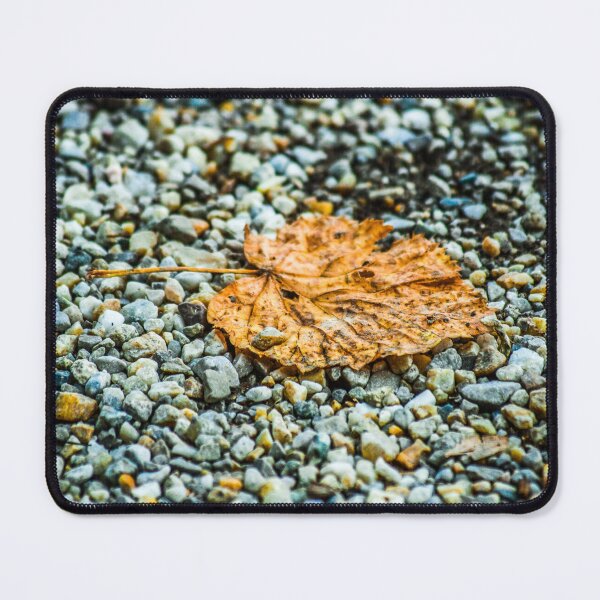 Item preview, Dry tree leaf designed and sold by SzendeB.