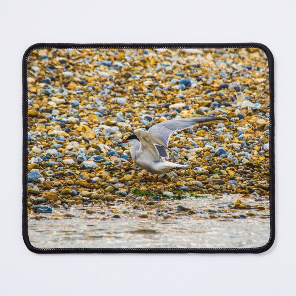 Item preview, Seagull designed and sold by SzendeB.