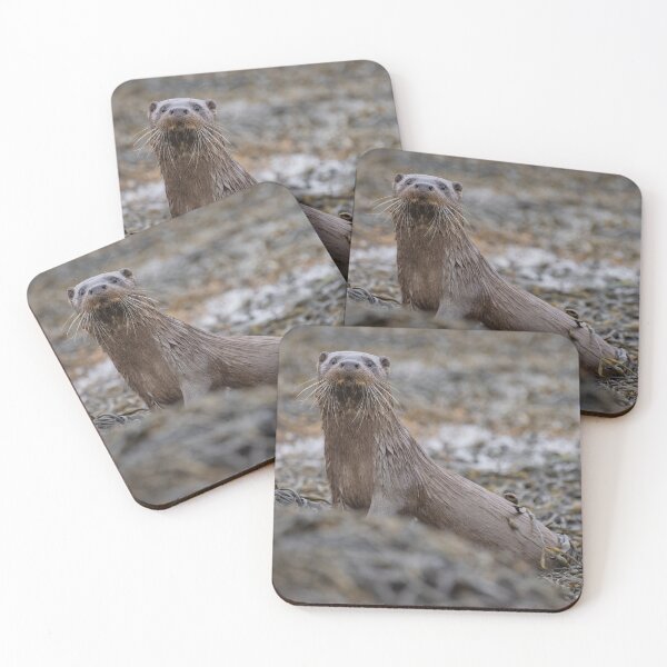 Item preview, Lochside Life - 2  designed and sold by iaintall.
