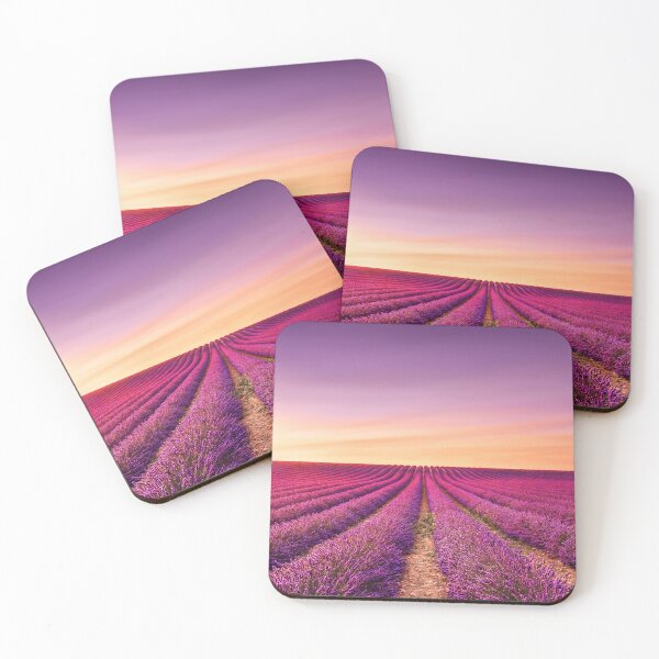 Lavender field and lonely tree. Provence Coasters (Set of 4)