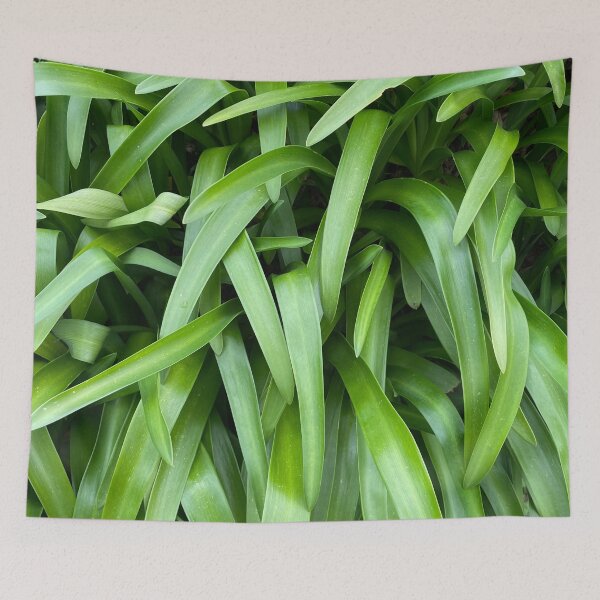 Item preview, Plant with long green leaves photo designed and sold by ray-designs-.